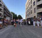 IMG_7828.jpg