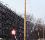 P1120868_klein.jpg