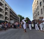 IMG_7799.jpg