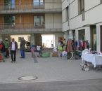 IMG_0264.jpg